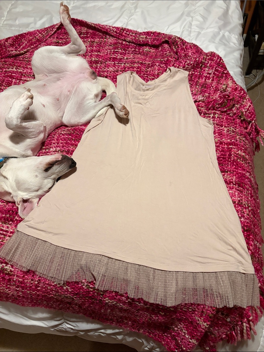Lori Goldstein tunic tank with Tulle Hem